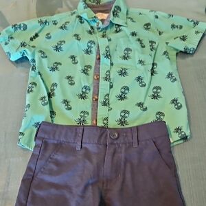 Free Planet Tropical Teal Shirt
